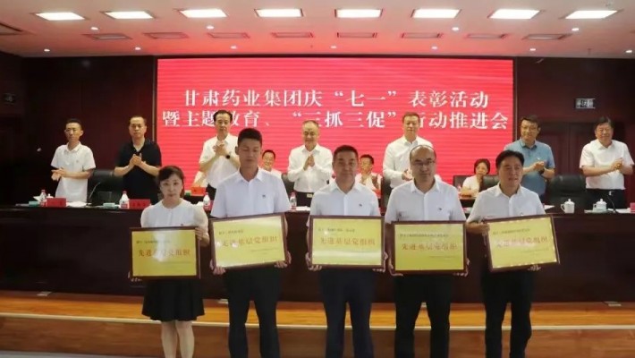 甘肅藥業(yè)集團(tuán)科技創(chuàng)新研究院黨支部榮獲“先進(jìn)基層黨組織”稱號(hào)！